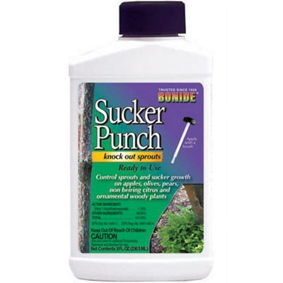 Bonide Products 276 8 oz. Ready To Use Sucker Punch Brush Top