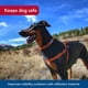 thumbnail image 3 of Arnés para perros Coastal K9 Explorer, reflectante, ajustable, pequeño, 3 of 8