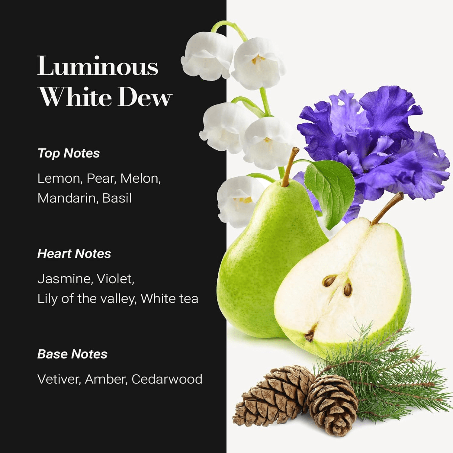 JCLOUD Hotel Diffuser Oil 16.9 Fl Oz (500mL) - Inspired by The Westin Hotel Scent, Luxury Cold Air Diffuser Oil Refill & Essential Oils Bulk for Home, Offices