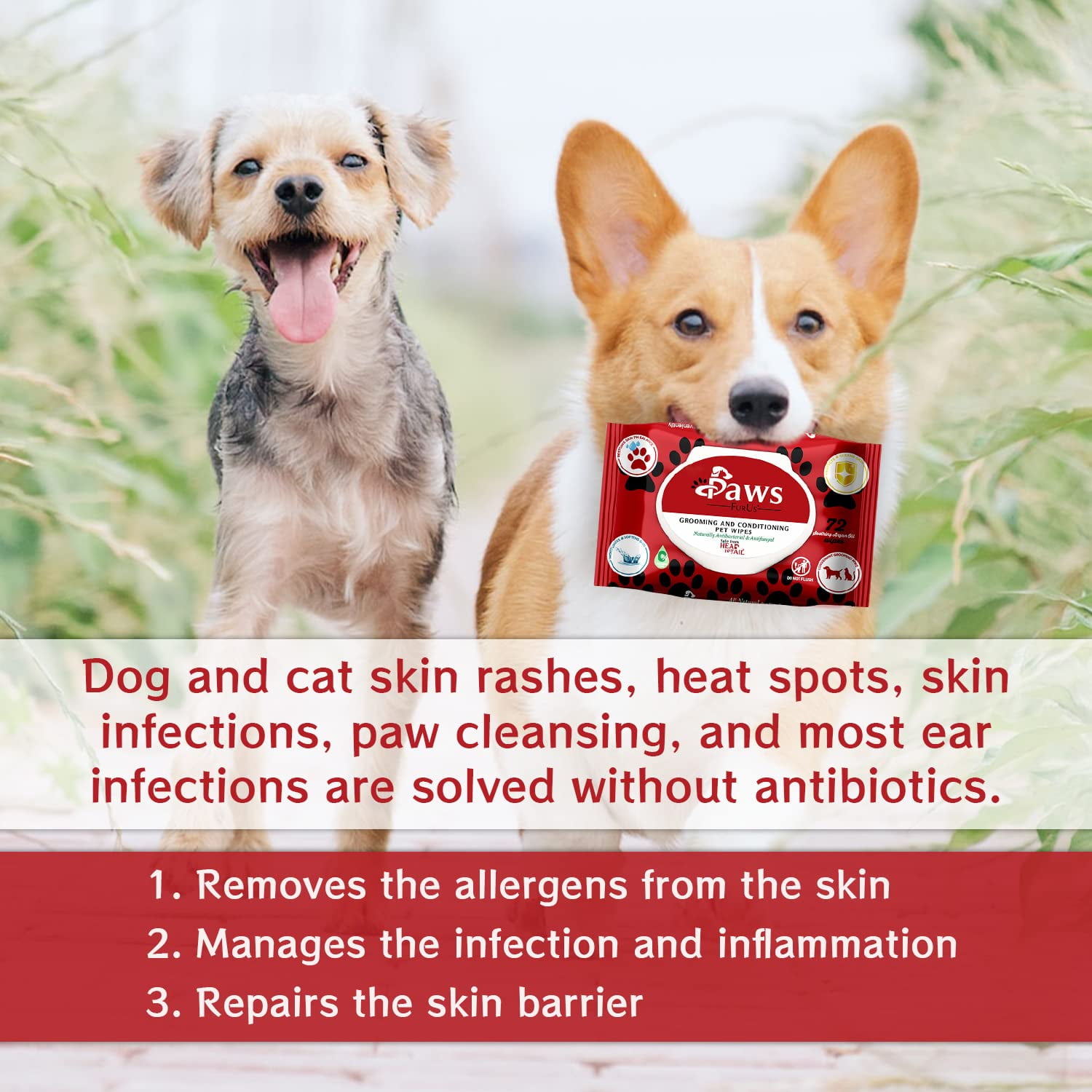 Doctor Formulated All Natural Pet Wipes for Dogs Cats Total Pet Care with Antifungal Antibacterial Protection pH Balance Moisturizing