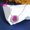 Pink, variant on Round Shape Pigeon Blood Red Lab Grown Ruby Necklace S925 Sterling Silver