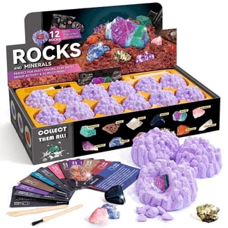 XXTOYS Rocks Collection, 25PCS Rock and Mineral Set for Kids