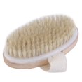 thumbnail image 4 of Moyic Cepillo exfoliante corporal para hombres y mujeres, mango de para el hogar, depurador de baño, removedor de piel muerta, masajeador de Juegos de accesorios de baño Moyic JJ8502-00B, 4 of 5