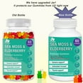 thumbnail image 3 of Sea Moss Gummies Elderberry Biovitalica - Vitamin C D + Zinc - Irish Seamoss Vegan Gummy with Sea Moss Gel & Powder for Immunity Detox Dietary Supplement, 3 of 10