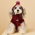 thumbnail image 4 of Ropa Para Perros Handsome Wear Otoño E Invierno, 4 of 6
