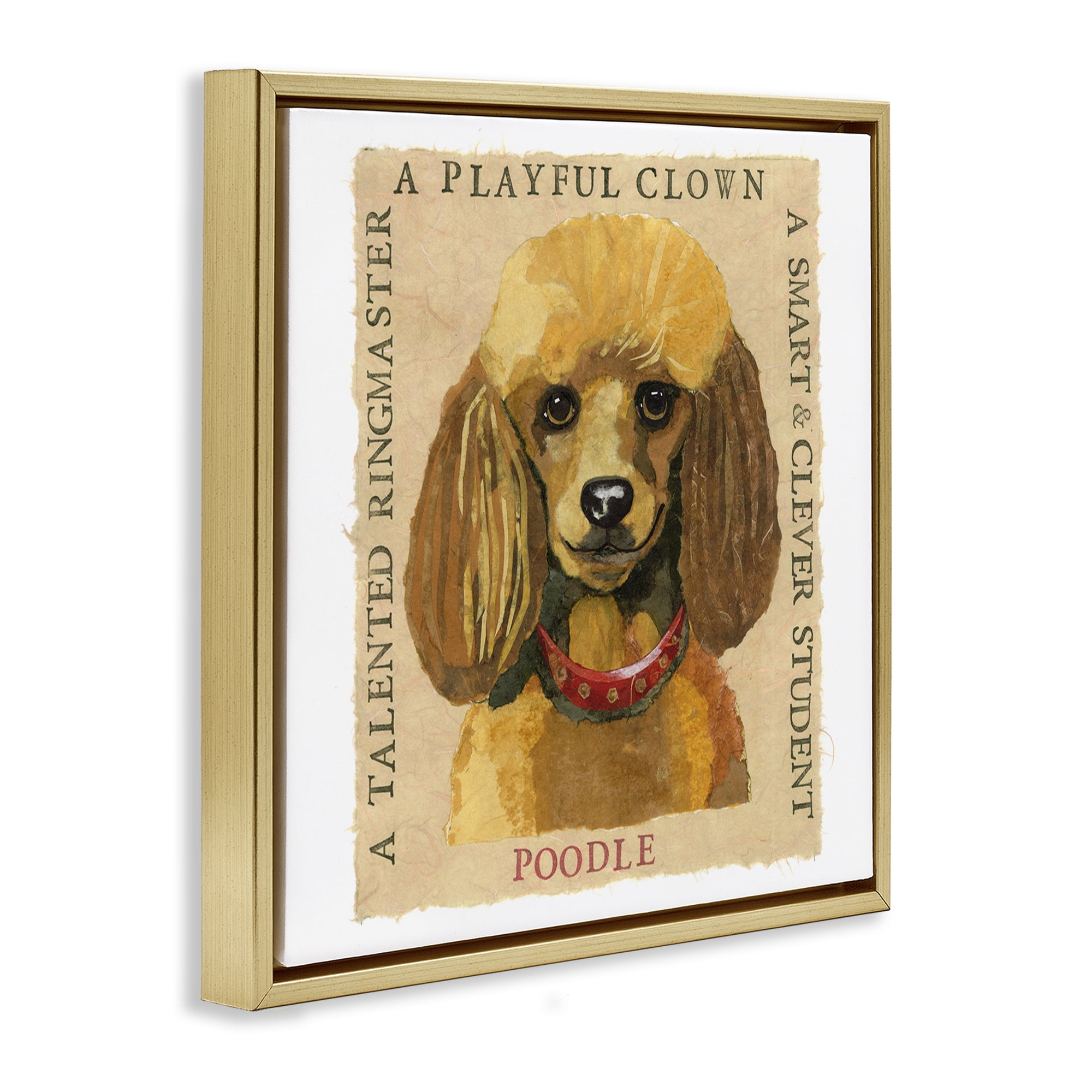 Stupell Industries Fun Poodle Pet Phrases Animals Painting Gold Floater Framed Canvas Art Print Wall Art, 25 x 25