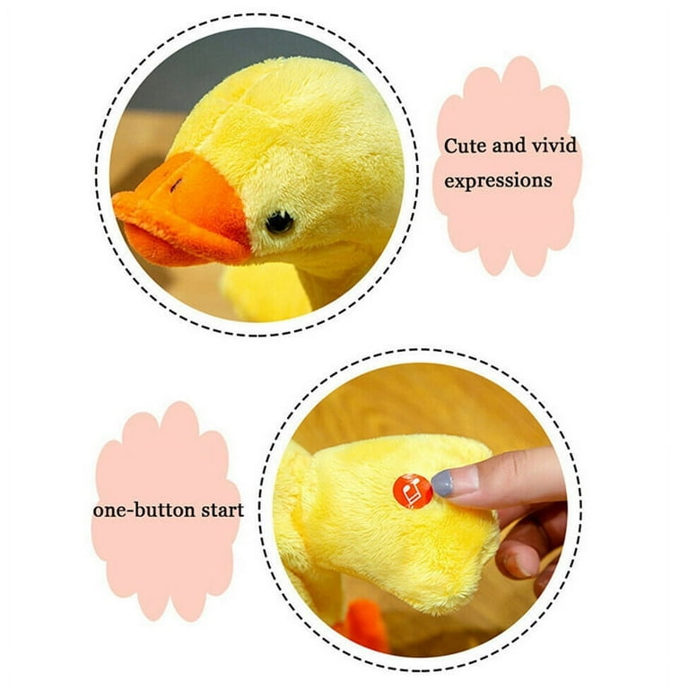 Musical duck cheap toy