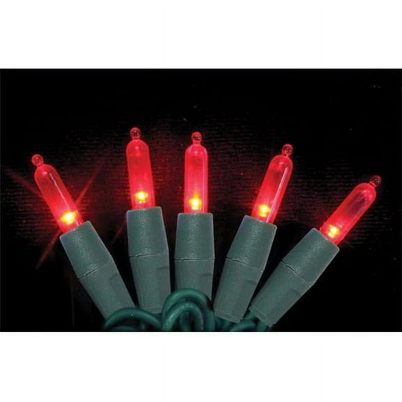Celebrations 4001088S-03AC Platinum 50 Mini LED Light Reel String Red