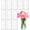 6 Inch, variant on 4 Inch Small Glass Cylinder Vases, 12 Pack, Centerpiece Decor for Home and Events