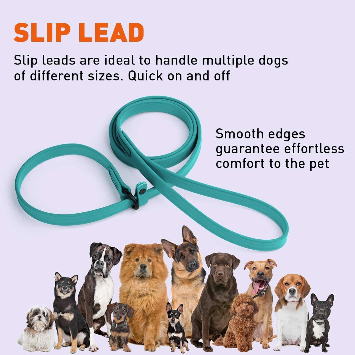 Dogline  - Biothane Slip Dog Leash - for Small, Medium and Large Dogs - Odor Free Slip Lead, Heavy Duty and Durable Material Kennel Lead (Teal: Width 5/8" | L: 60"(5ft))