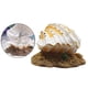 thumbnail image 3 of Decoración de concha de acuario artificial Zulema piedra de aire resina, 3 of 8