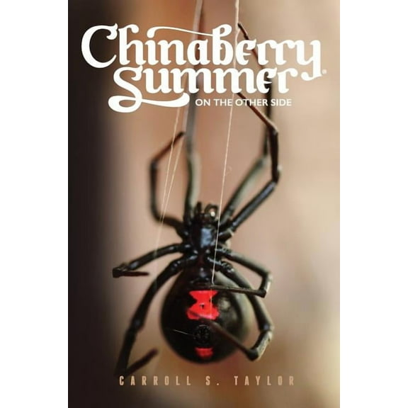 Chinaberry Summer: On the Other Side, (Paperback)