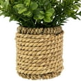 thumbnail image 5 of Northlight Milan Leaf Artificial Mini Bush In Rattan Basket - 7", 5 of 7