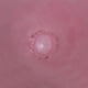 thumbnail image 3 of Bombas de baño Gift Republic con aroma a rosa brillante, paquete de 10, 3 of 3
