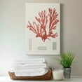 thumbnail image 6 of Vintage Coral Study IV Premium Gallery Wrapped Canvas - Ready to Hang, 6 of 7