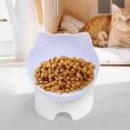 thumbnail image 6 of 15 degree Tilted Elevated Cat Bowls Feeding Station with Stand Non Raised Dish Water Food Bowls for Indoor Cats, Small Medium Large Dog, Bowl, 6 of 7