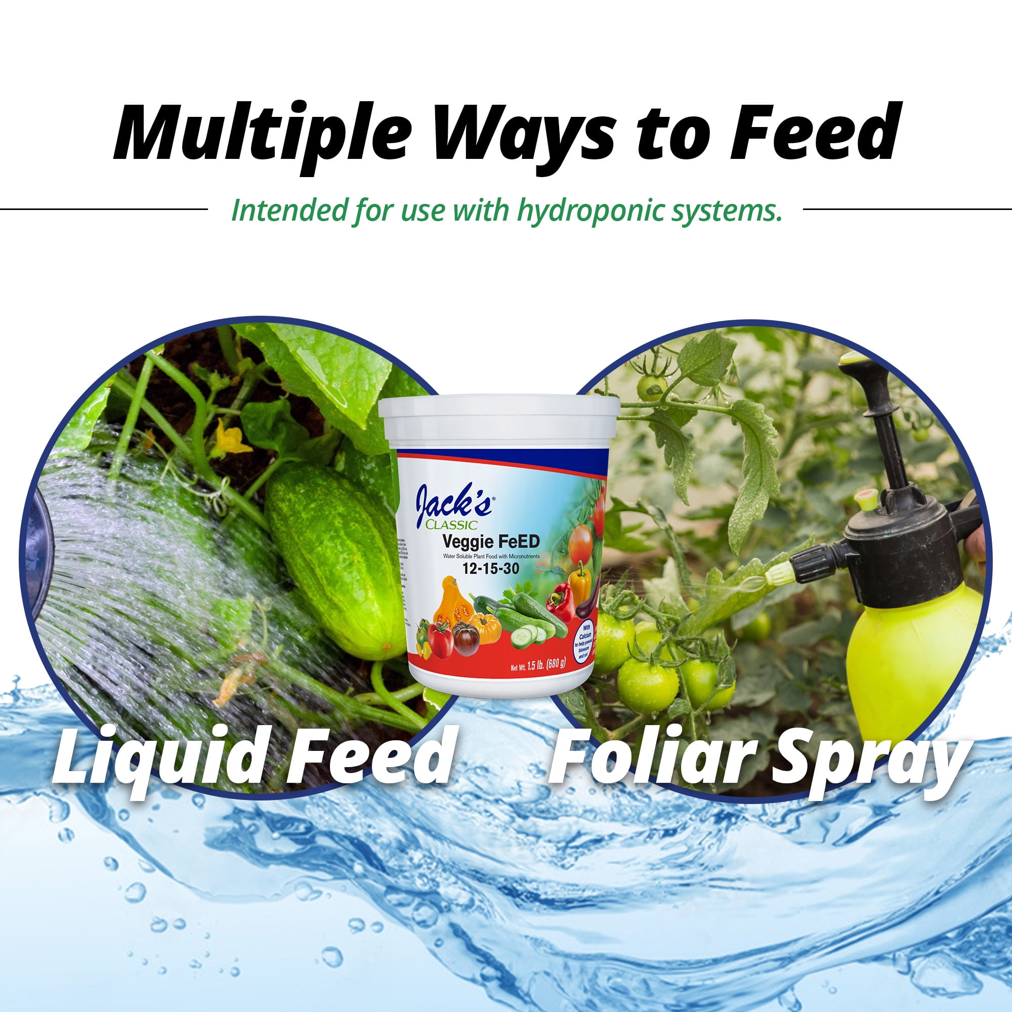 Jack's Classic 12-15-30 Veggie FeED Water-Soluble Fertilizer with Micronutrients, 4lbs - Plant Growth and Abundant Fruit Set in Blooming Vegetable Plants