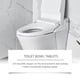 thumbnail image 5 of Clean Toilet Toilet Cleaning Powerful Decontamination Efficient Sterilization, Descaling And Deodorize Toilet Cleaner Effervescent Tablets, 5 of 5