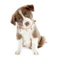 thumbnail image 2 of Collier pour Animaux de Compagnie à la Mode, Collier pour Chien avec Perles, Accessoire Photo pour Chat, 2 of 8