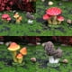 thumbnail image 5 of Monstrate 3 piezas Mini seta estatuilla jardín plantas suculentas miniaturas ornamento paisaje práctico bonsái Artificial manualidades DIY Plantas Artificiales Tipo 1, 5 of 6