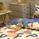 thumbnail image 4 of Juego de cama Juego de cama de fibra de poliéster de alta densidad, colores vivos, brillantes y respetuosos con el medio ambiente, completo para dormitorio, hogar, hotel, 4 of 5