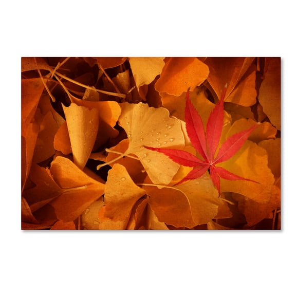 Trademark Fine Art "Lost & Found" Canvas Art by Philippe Sainte-Laudy