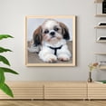 thumbnail image 4 of Kit de dibujo de taladro redondo completo hecho a mano para perro Snowland 5D DIY, pintura artesanal de diamante Likrtyny Arte deco, 4 of 9