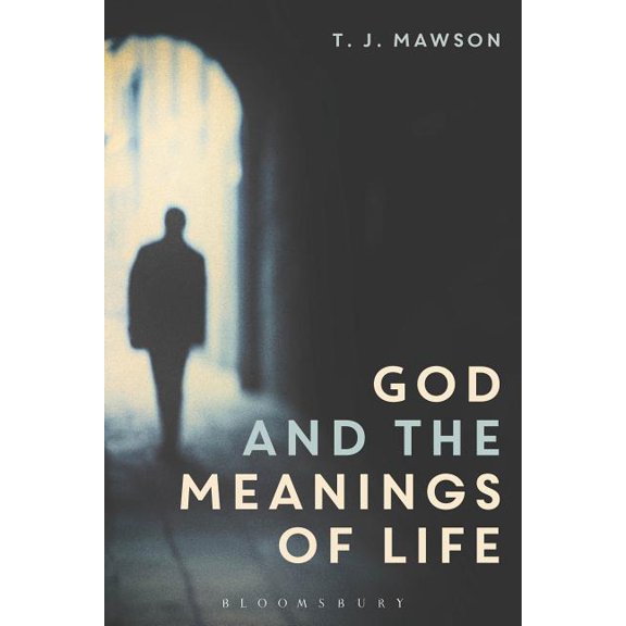 God and the Meanings of Life: What God Could and Couldn't Do to Make Our Lives More Meaningful, (Hardcover)