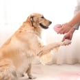 thumbnail image 3 of Jouet Interactif pour Chiots et Chiens Adultes Activité de Dentition Intérieure Extérieure, 3 of 5