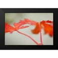 thumbnail image 2 of Geyman, Vitaly 18x13 Black Modern Framed Museum Art Print Titled - Maple In Style I, 2 of 5