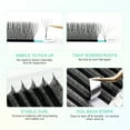 thumbnail image 5 of NAGARAKU 5D W Eyelash W Shape Premade Fans Eyelash Extensions Matte Black 0.07D11, 5 of 9