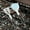 Silver, variant on Lloopyting Home good clearance All clearance all department Roll back clearance items Outdoor Folding Frying Spatula Camping Portable 304 Stainless Steel Spatula Picnic Barbecue Cutlery