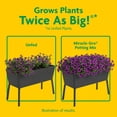 thumbnail image 5 of Miracle-Gro 10 Pack Potting Mix for Container Plants, Flowers and Vegetables, 2 Cu Ft, 5 of 10