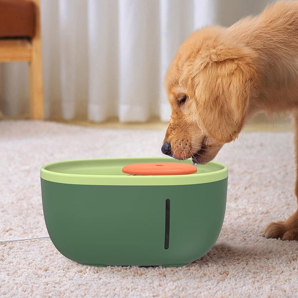 best kitty litter for cat avoiding box World's Best Cat Litter Multiple Cat Clumping Formula