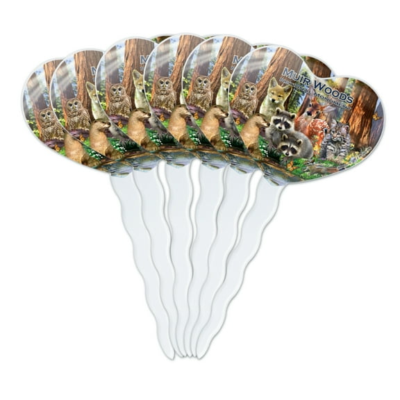Muir Woods National Monument California CA Redwoods Forest Animals Heart Love Cupcake Picks Toppers Decoration Set of 6