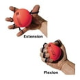 thumbnail image 2 of GripSaver Plus - Extension  Flexion Grip Trainer, 2 of 2