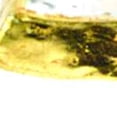 thumbnail image 3 of 7" Glass Set of 4 Square Edge Gold Plates, 3 of 4