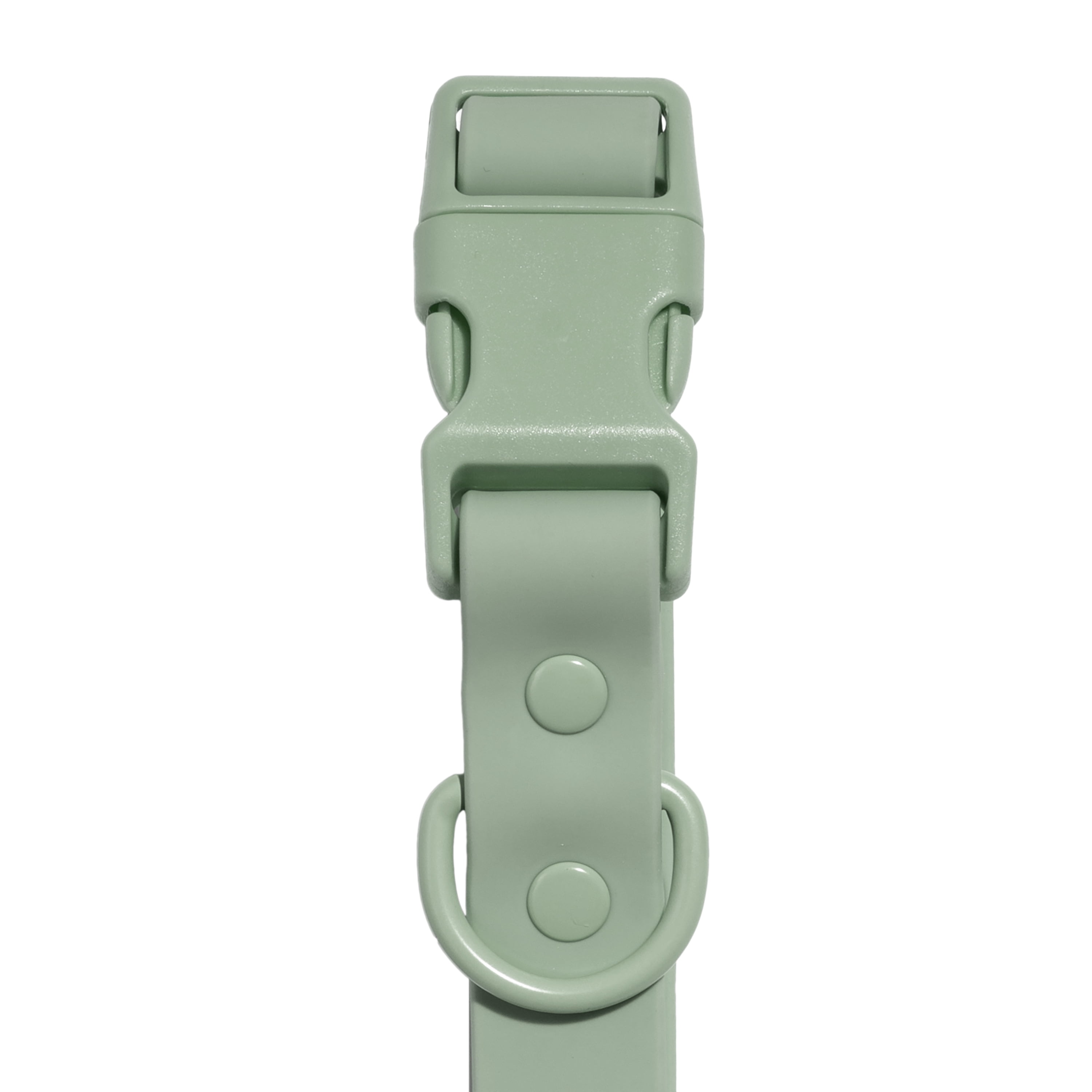 Vibrant Life Water Resistant Adjustable Dog Collar, Sage Green, S