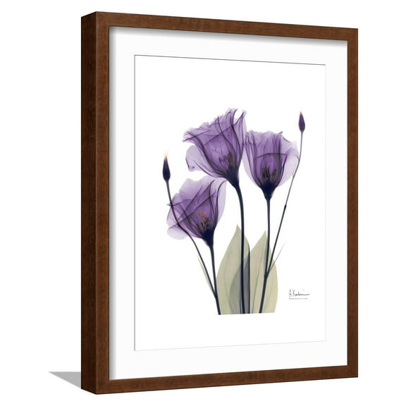 Art.com Purple Gentian Triplet Premium Giclee Print by Albert Koetsier, Brown Frame Wall Art, 17" x 21"