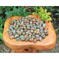 thumbnail image 3 of 1 lb Bulk Rhyolite Tumbled Stones Crystal Healing Rainforest Jasper, 3 of 7