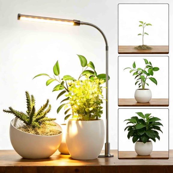 USTOP Grow Light for Indoor Plants Growing, 6000K Full Spectrum Gooseneck Plant Lamp for Seedings Succulents Small Plants, Auto on/off Timing & 5 Dimming