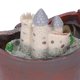thumbnail image 4 of Macetas, Mini Macetas Suculentas Ligeras De Resina Decorativa, Plantas De Cultivo Delicadas Para La Decoración Del Hogar ANGGREK Otros, 4 of 8