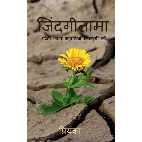 zindaginama / ज़िंदगीनामा: छोटी -, (Paperback)