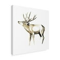 thumbnail image 2 of Trademark Fine Art 'Watercolor Woodland I' Canvas Art by Grace Popp, 2 of 4