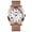Rose gold mesh, variant on Men's Luxury Quartz Watch – Waterproof, Calendar, Stainless Steel & Leather Strap