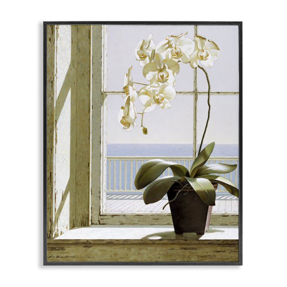 Stupell Industries Traditional White Orchid on Window Sill Black Framed Giclee Art, 11 x 14, by Zhen-Huan Lu