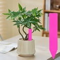 thumbnail image 2 of Single-Character Garden Marker, 1.97 x 0.39 inch Waterproof Plastic Label Stake for Herb Pots, Cactus Containers, Trays, Greenhouse Displays and Outdoor Organization, Hot Pink, 2 of 7