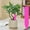 #03 Hot Pink【10 × Plant Labels, 2"】, variant on Plant Labels 10 Pack, Plastic Nursery Seed Plant Tags, Plant Markers and Labels for Outdoor Garden Waterproof, Plant Name Tags, Planting Sticks for Seeds by IHHXPRO, Green