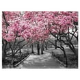 thumbnail image 1 of Designart Fleurs de cerisier Art mural sur toile, 1 of 4