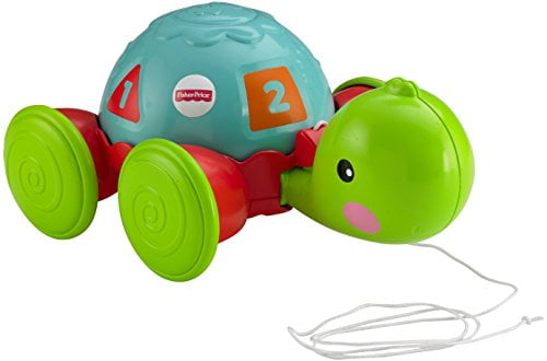 pull and play turtle